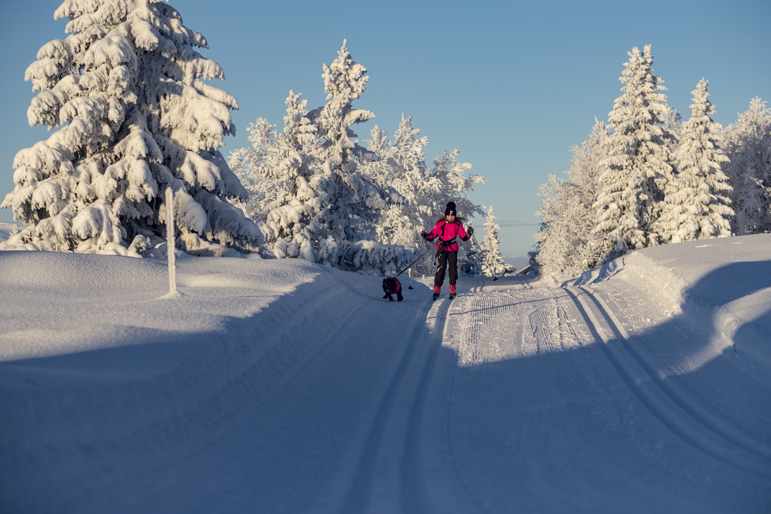 gålå fjellturer