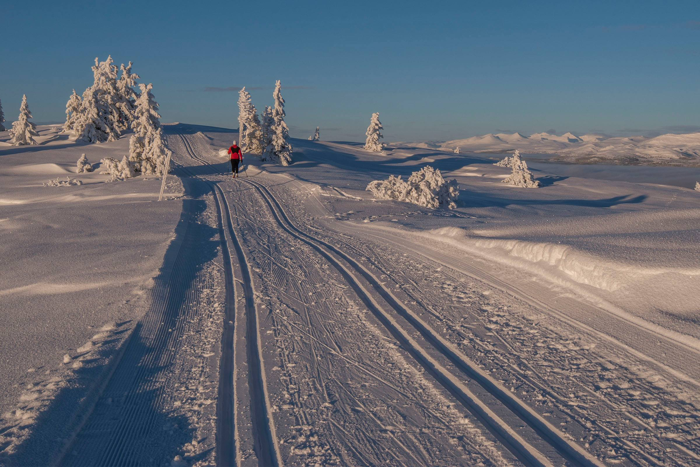 langrenn gudbrandsdalen