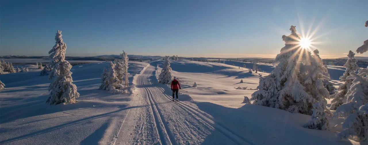skjereillkampen gålp
