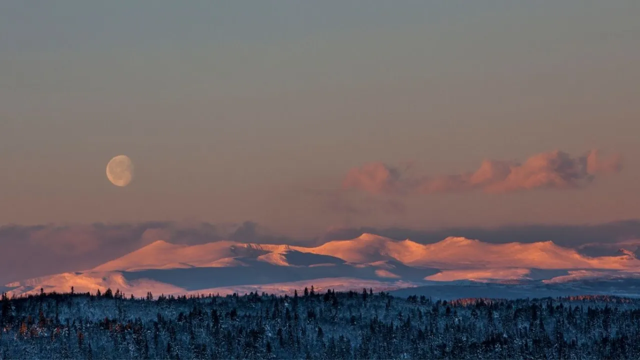 en snødekt fjellkjede med trær