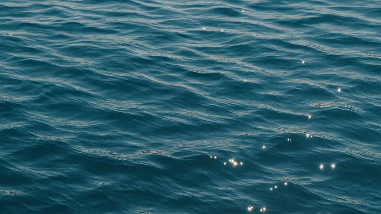 et nærbilde av et vannområde