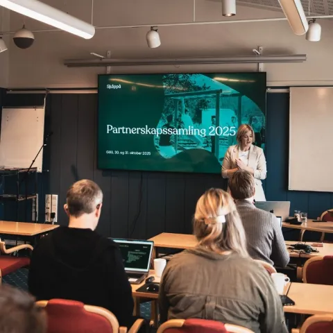 en person som står foran en skjerm